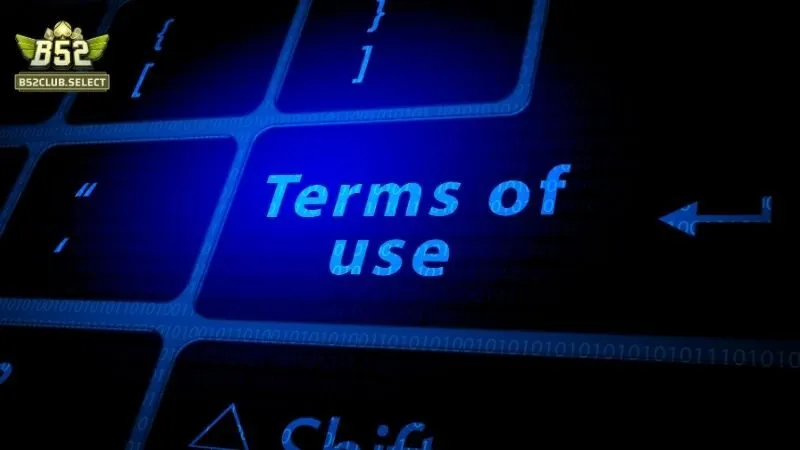 Điều khoản sử dụng